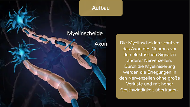 Alphiza - stärke Deine Nerven