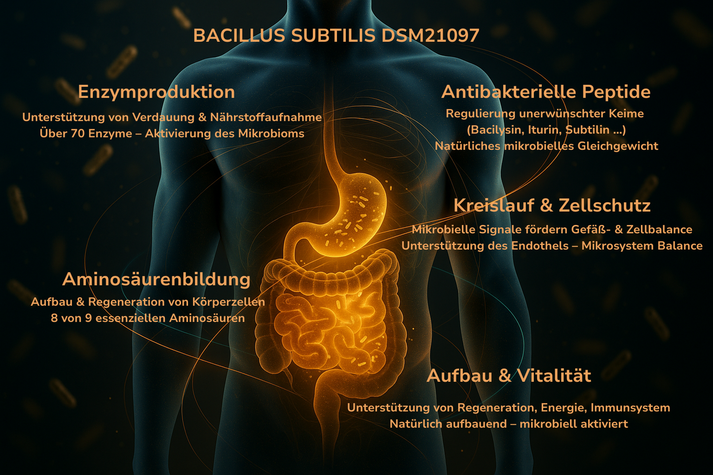 Bacillus Subtilis Sensitiv
