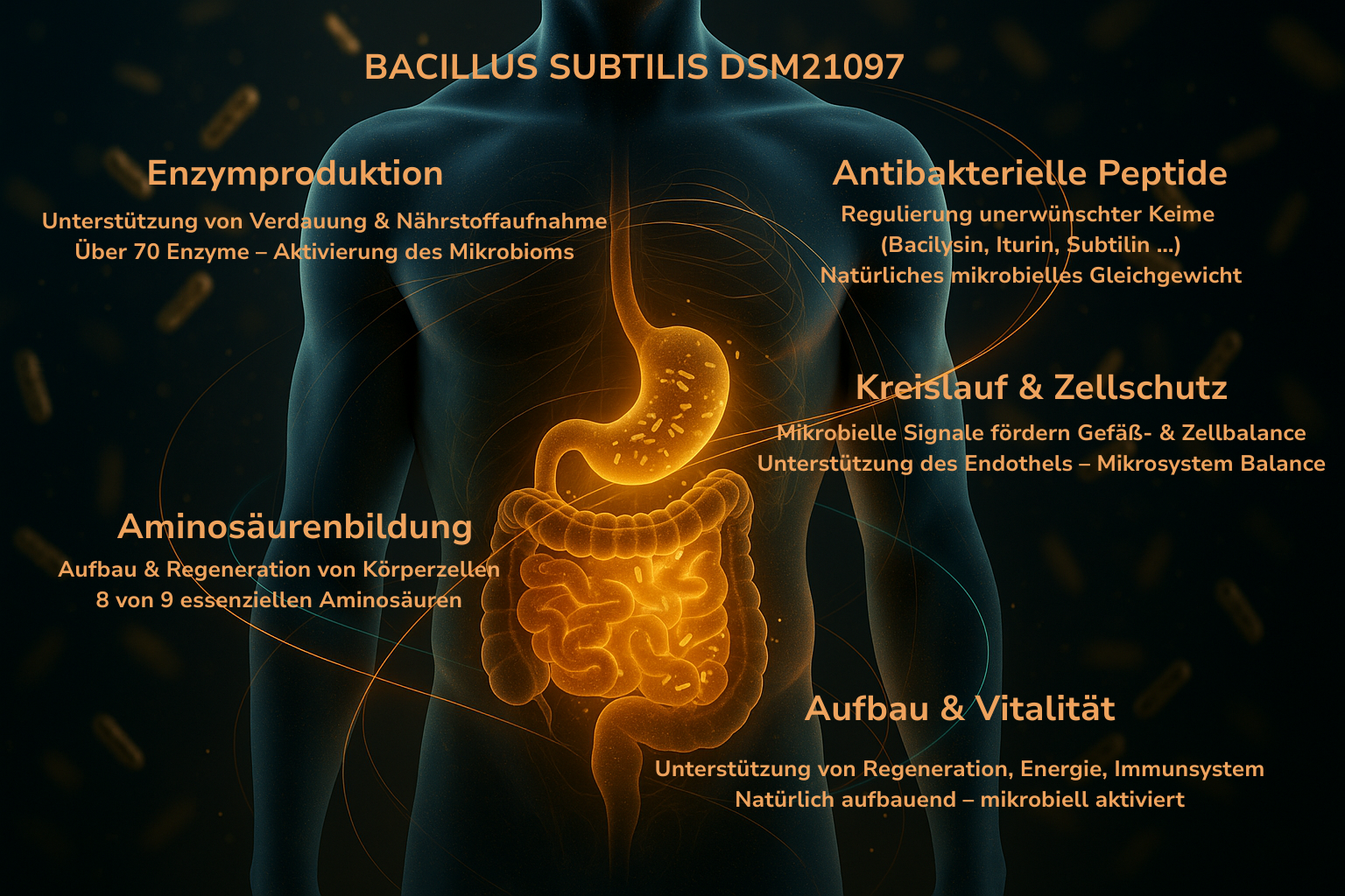 Wissenschaft und Produktdetails