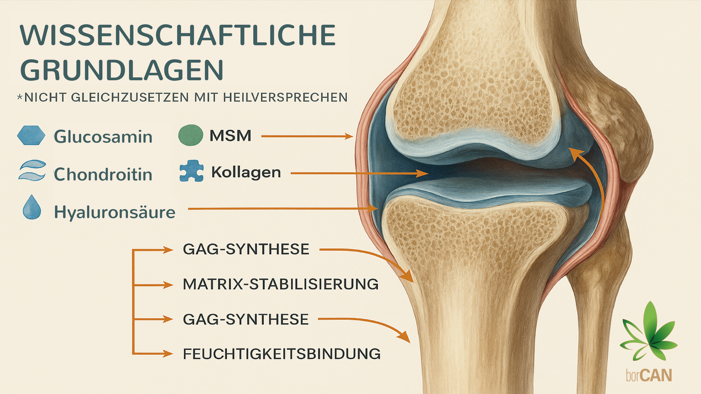Glucozamin mit borCAN-Complex
