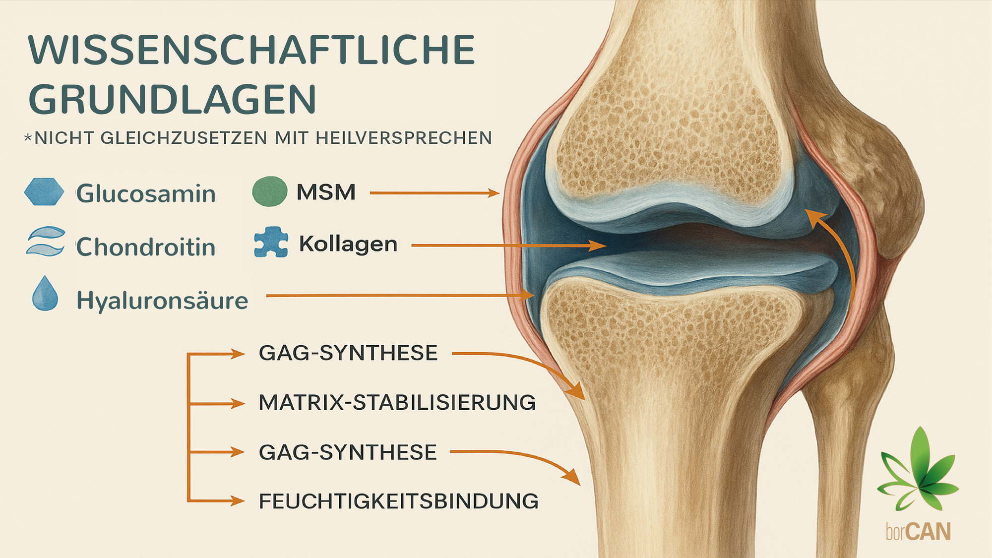 Wissenschaft und Produktdetails