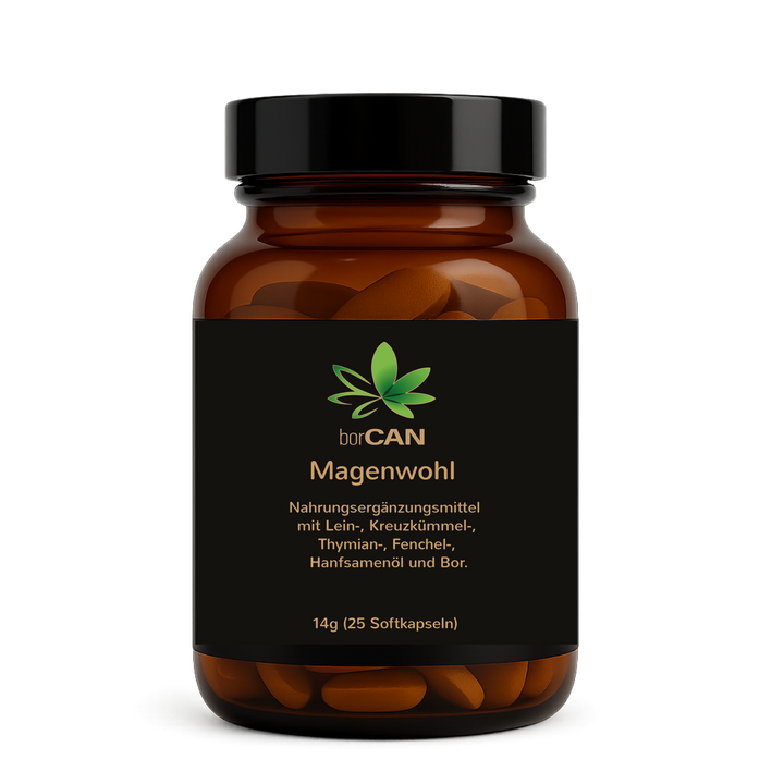 Magenwohl mit borCAN-Complex
