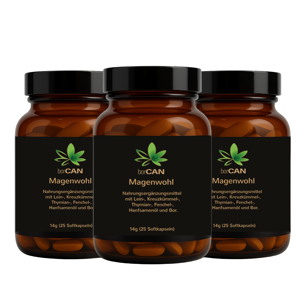 Magenwohl mit borCAN-Complex