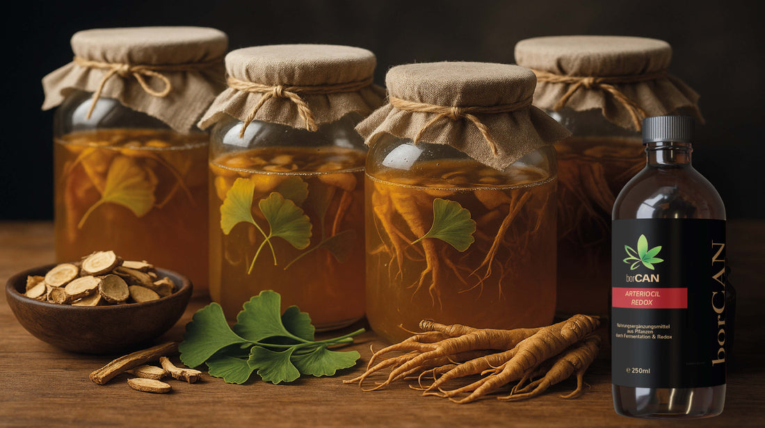 Arteriocil - Fermentation & Wissenschaft