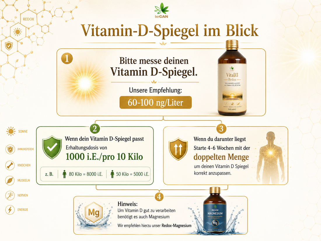 VitaD3-4000 – mehr Vitamin D für die sonnenarme Zeit