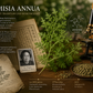 Artemesia Annua