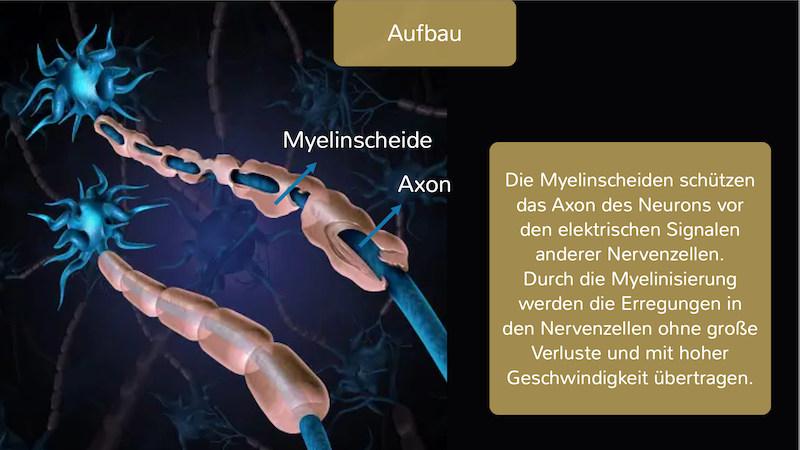 Alphiza - stärke Deine Nerven 60 Phiolen