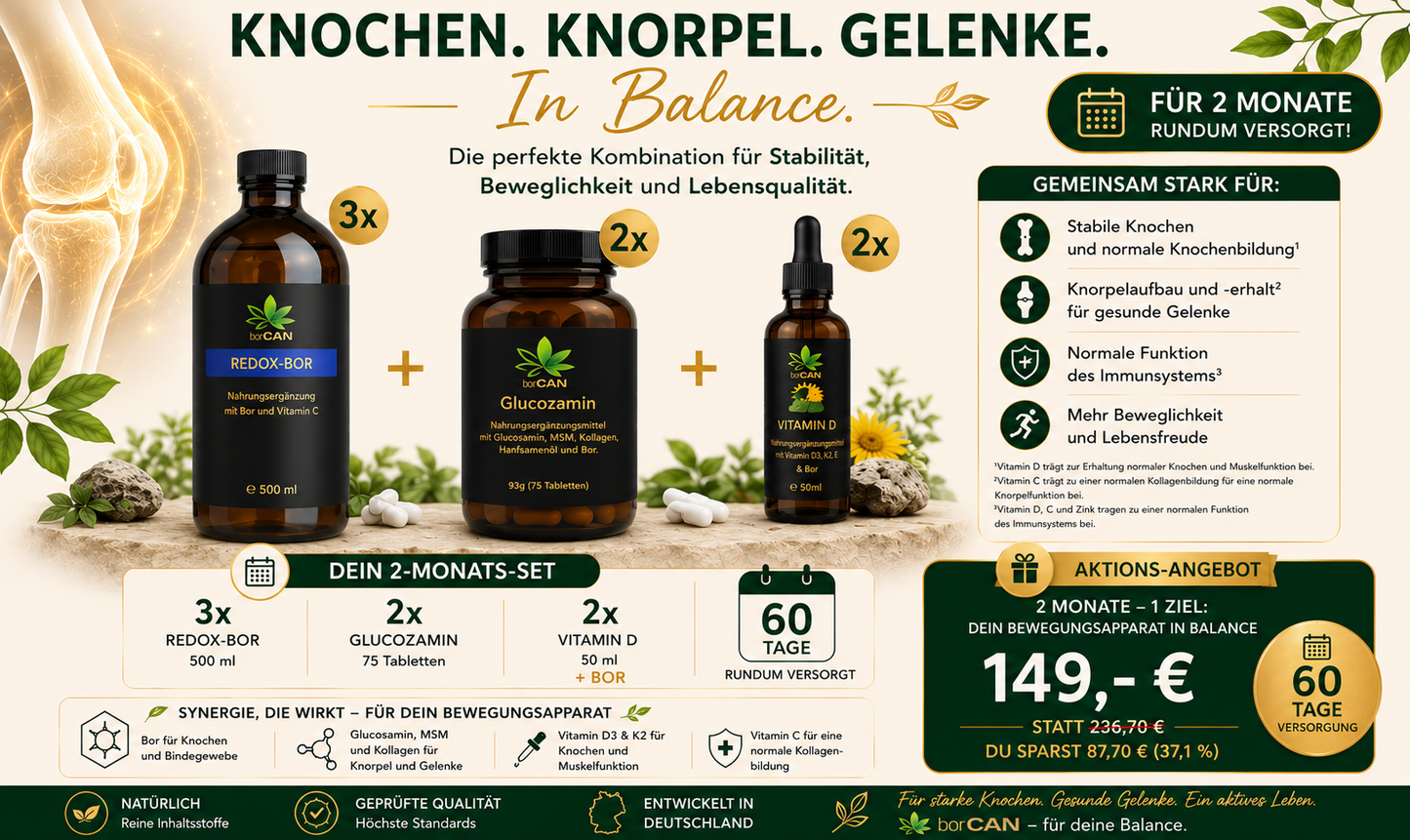 ANGEBOTS-SET: Knorpel - Gelenke - Knochen
