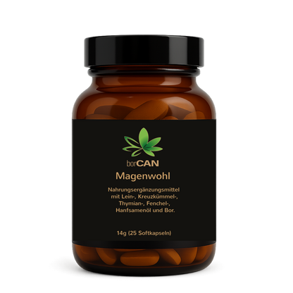 Magenwohl mit borCAN-Complex