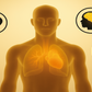 Omega-3 with borCAN-Complex