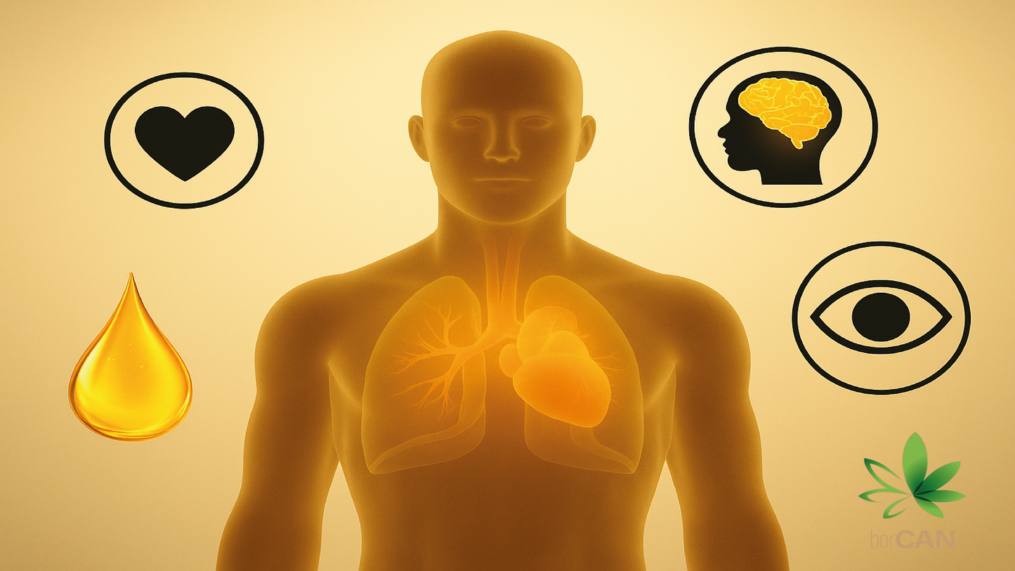 Omega-3 with borCAN-Complex