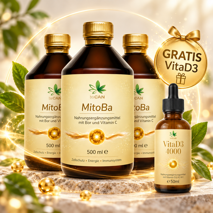 Angebot: 3er MitoBa + VitaD3 -4000