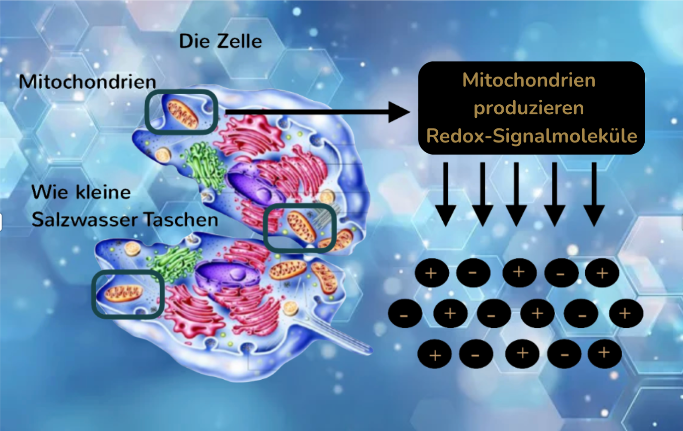 Science and Product Details