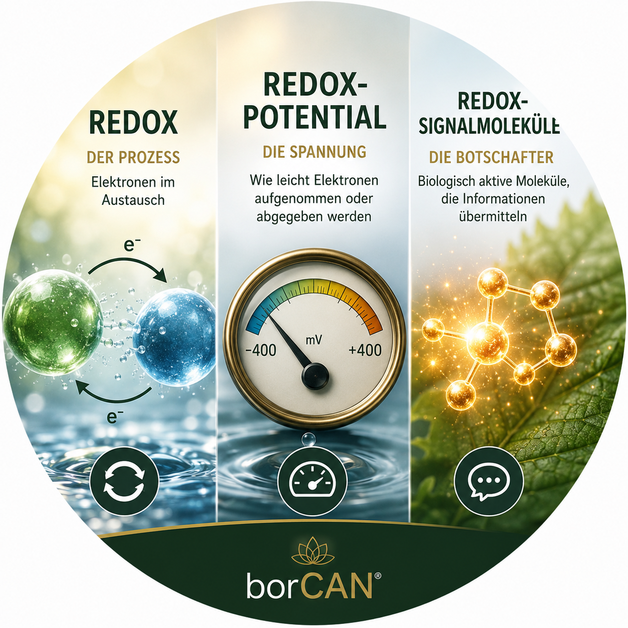 Redox ist nicht gleich Redox