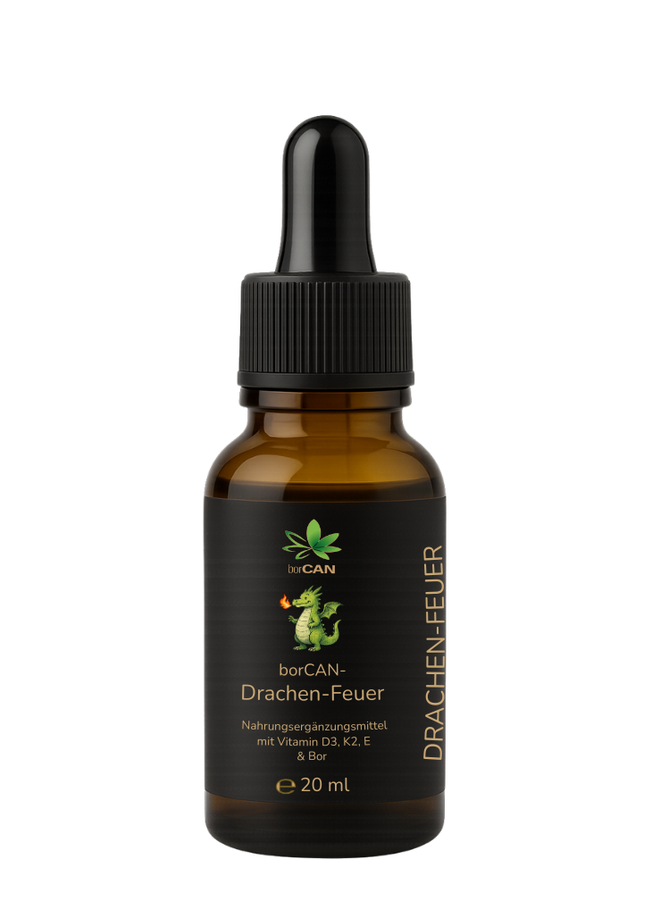 borCAN-Drachen-Feuer