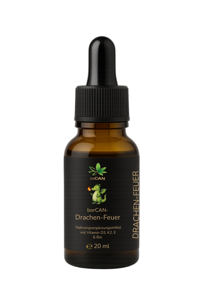 borCAN-Drachen-Feuer