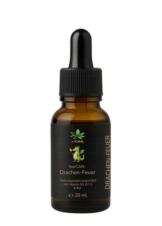 borCAN-Drachen-Feuer