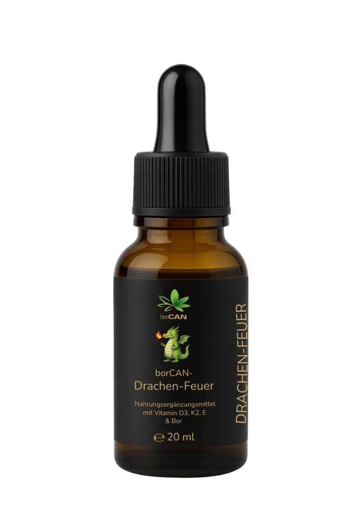 borCAN-Drachen-Feuer